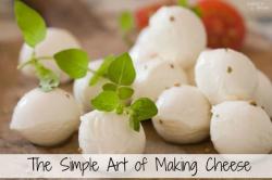 The image for MAKING CHEESE ...the real way!