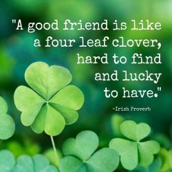 The image for ST PATRICK TEA