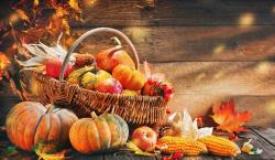 The image for HAPPY THANKSGIVING