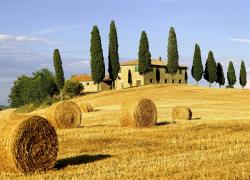 The image for CHEF IS ON TOUR IN ITALY !!!